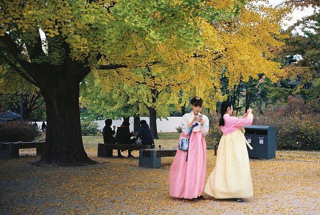 Autumn in Seoul