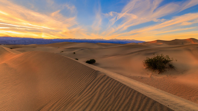 Illumination ( Mesquite Flat Sand Dune  )