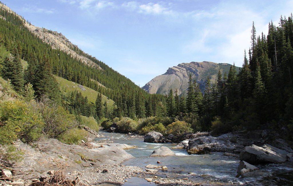 Whitehorse Creek PRA