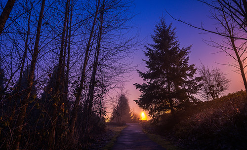 park trees light sun dark bench bc path foggy lonely lightpost langley streaming walnutgrove