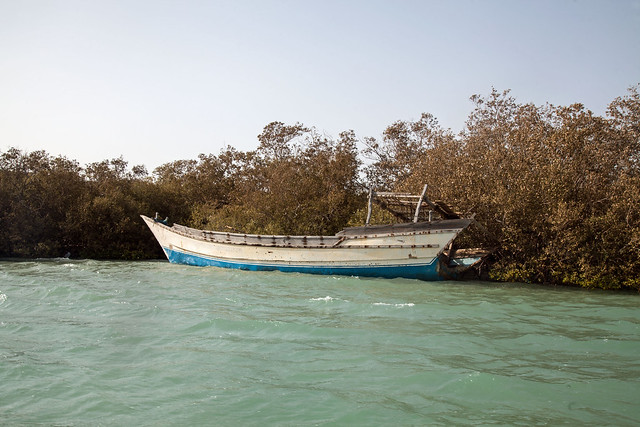 Un bateau dans la mangrove