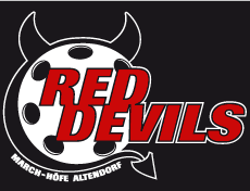 Herren NLB - Red Devils Altendorf Saison 2014/15