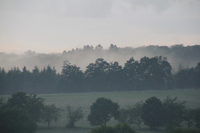 foggy landscape after thunderstorm