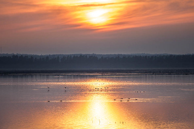 Sunset over Lake Hornborga