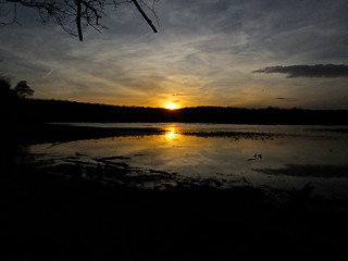 Sunset at Oxbow Lake