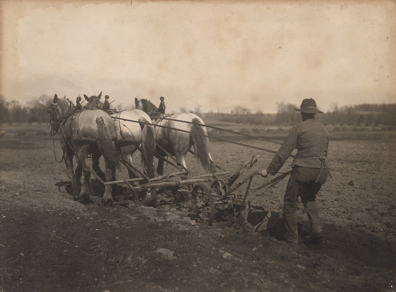 Plowing, 1910