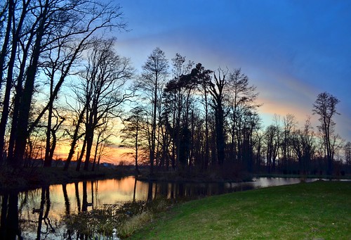 Come to the park at sunset by Tobi_2008, trees sunset sky colour reflection nature germany deutschland pond sonnenuntergang saxony natur himm
