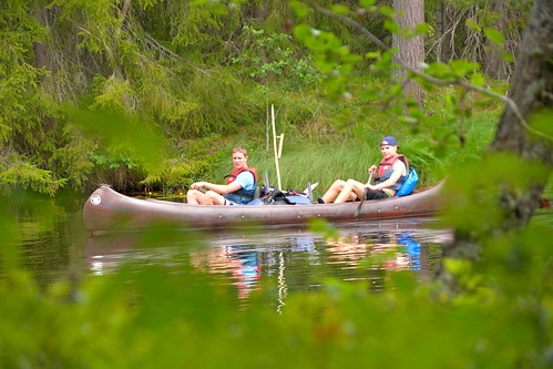 canoe kayak paddle boat transport water watertransport travelling travel leisure recreational summer nature quiet outdoors vacation paddling holiday break forest landscape tree background green wood sunlight outdoor natural sun sunny beautiful scene morning park sky hills wild misty pine environment scenic woods day plant shine mysterious spruce path haze view foliage sunshine wilderness coniferous rural valley leaf bright forestmountain beautifulforest