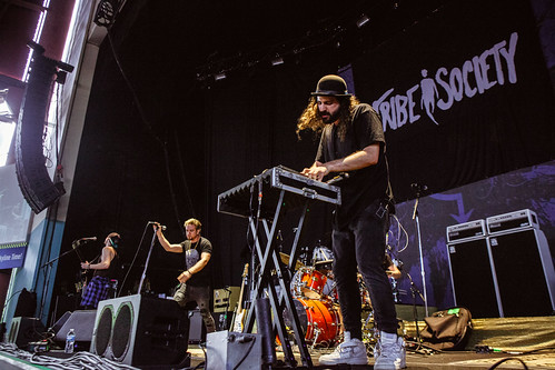 Tribe Society