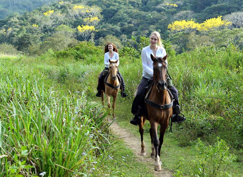 Belize HorseBack Riding Tours