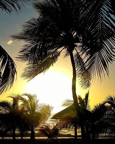 Sunset Experience you shouldn't miss in your life ! 👉Decameron Indigo Beach Resort ❤ Get ready for it 😍 🌴🌴🌴🌴🌴🌴🌴🌴🌴🌴🌴 by decameronhaiti, square squareformat iphoneography instagramapp uploaded:by=instagram