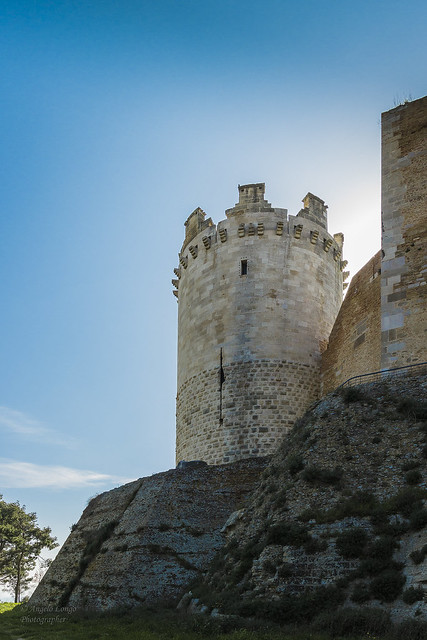Torre della Leonessa o della Regina, ripresa dal fossato.