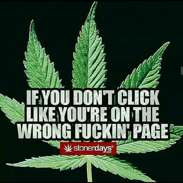 Haha.. hope your stayin blazed ✌✌ #stonernation #stonerdays #cannabis #chronic