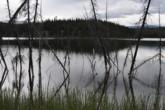 Ripples on Chadden Lake