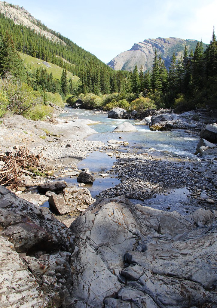 Whitehorse Creek PRA