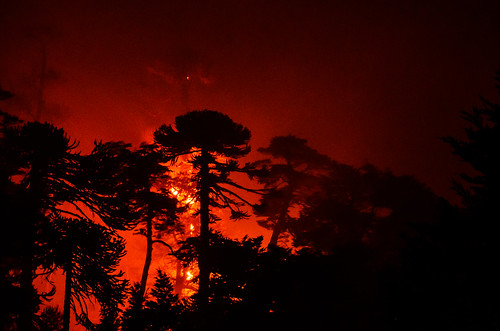 chile incendio forestal araucanía longuimay chinamuerta