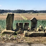 old road signs,green onions,rice fields and Kubota tractor 道標、葱、圃場、クボタ