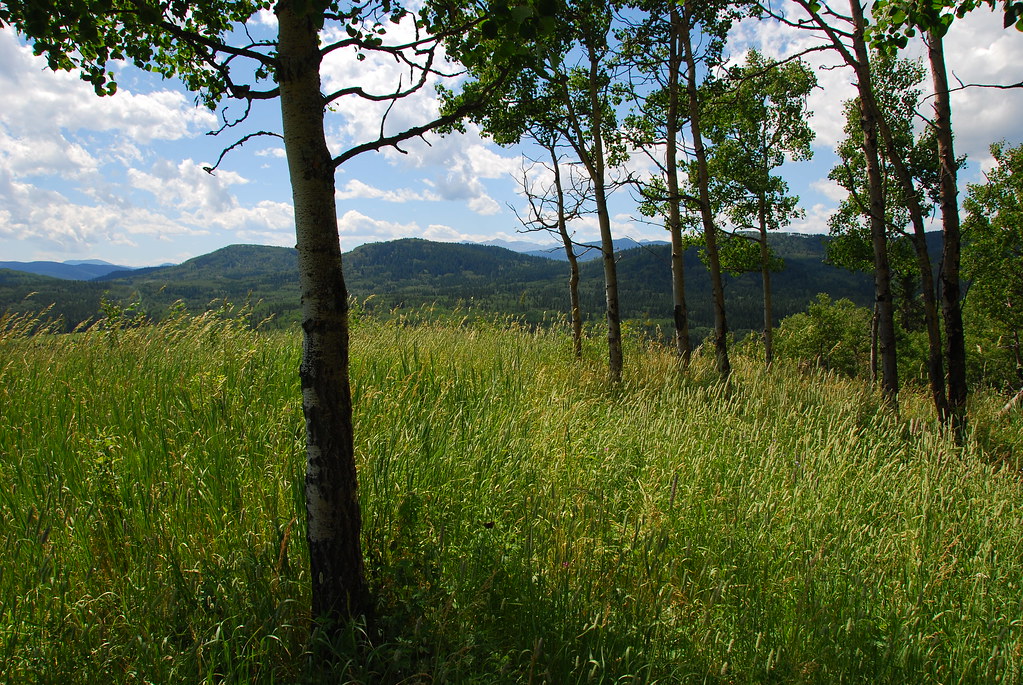 North Fork PRA