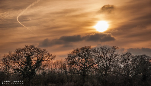 trees sunset england clouds evening contrail unitedkingdom sony a350 sonyalpha andyhough upperton sonyzeissdt1680 andyhoughphotography