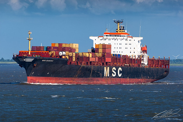MSC Eugenia - Cuxhaven - 11/06/2014
