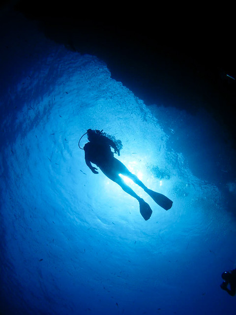 scubafish-underwater-8.jpg