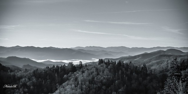 Great Smoky Mountains National Park