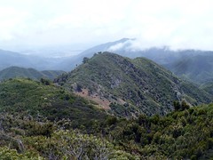 Cone Peak - Ventana Wilderness -  Ridge Trail (1)