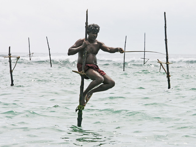 fisherman - sri lanka