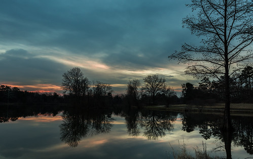 longexposure morning trees sky lake water clouds reflections landscape dawn pond canon24105mmf4l buschwildlife canon5dmkiii