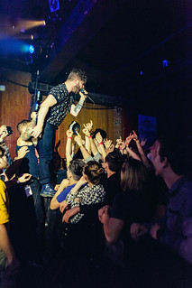 Foals