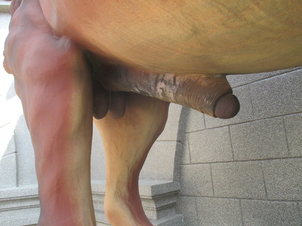 Huge Horse Cock . redmaskraindog Flickr