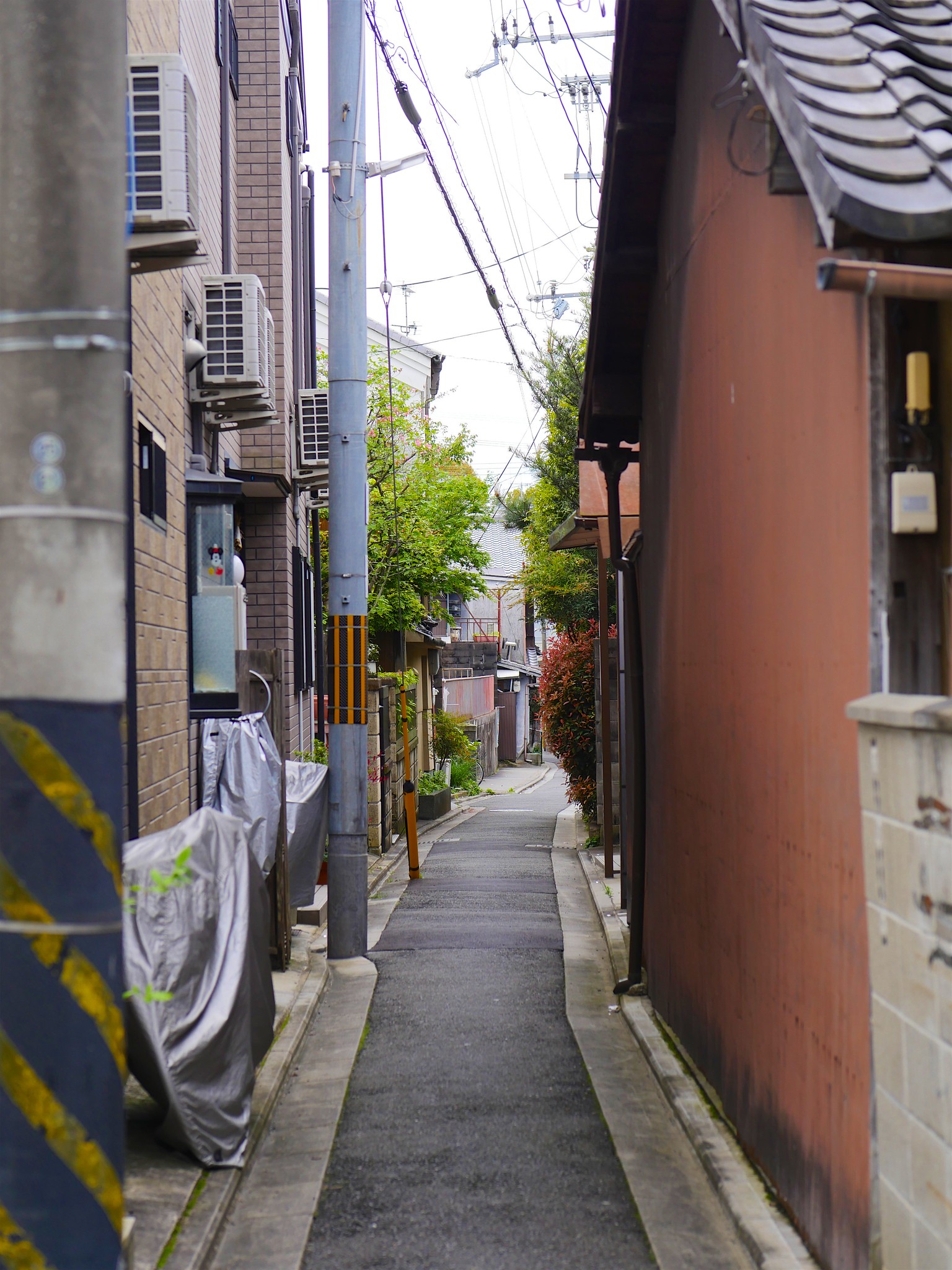 Extremely Narrow Street