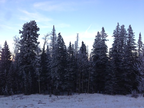 IMG_1833 by jhannon1, sunset trek snowshoe ellis sandias