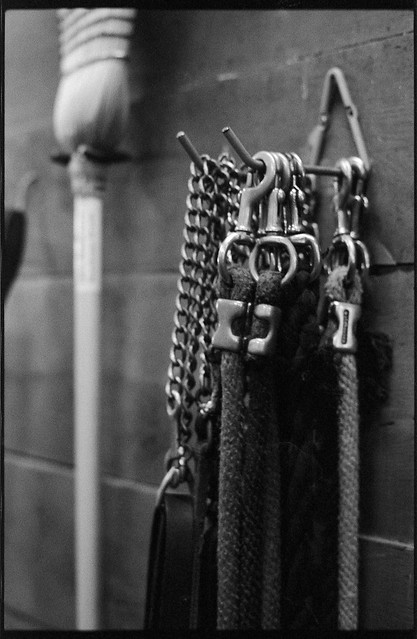 Lead ropes and broom