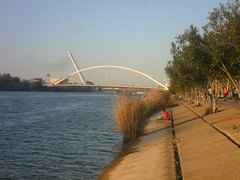 Puente de la Barqueta y puente del Alamillo, Sevilla