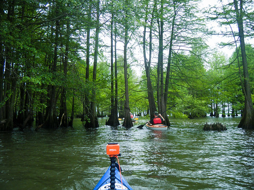 us unitedstates southcarolina kayaking paddling summerton frierson