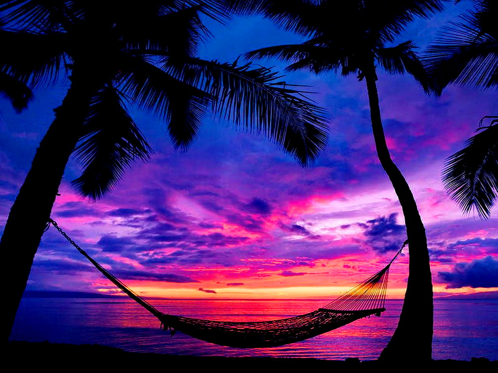 Tropical Beach Sunset With Hammock Wallpaper Free 2015 | Flickr