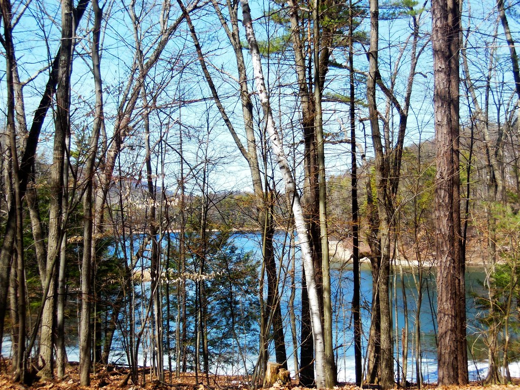 Mud Pond Trail