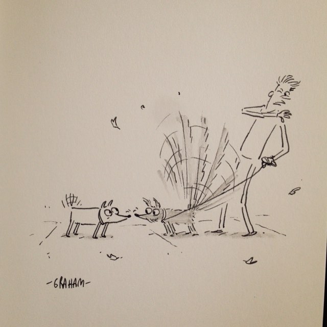 Moxie could be trouble when she got too excited. #grickledoodle