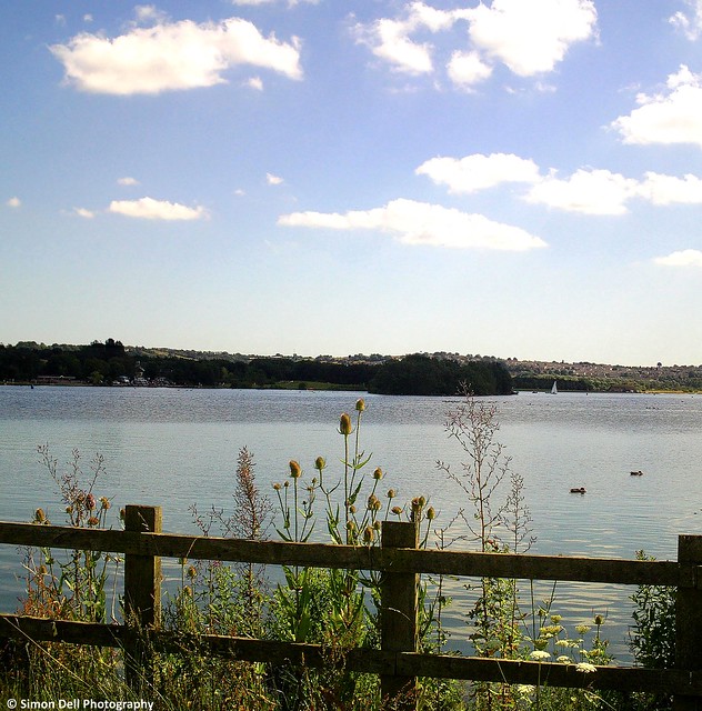 Rother Valley Country Park 2010