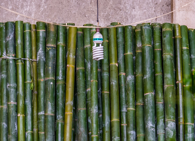Bamboo and Light Bulb (Mexico City. Gustavo Thomas © 2015)
