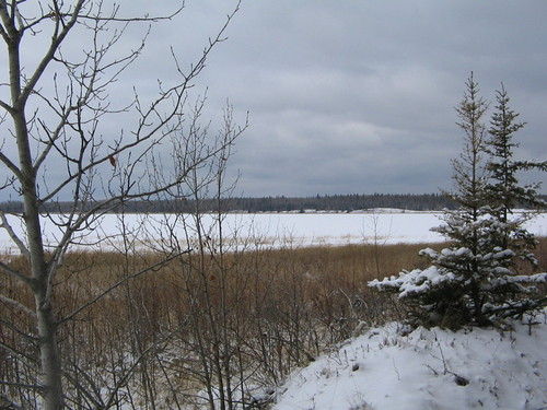 Moose Lake