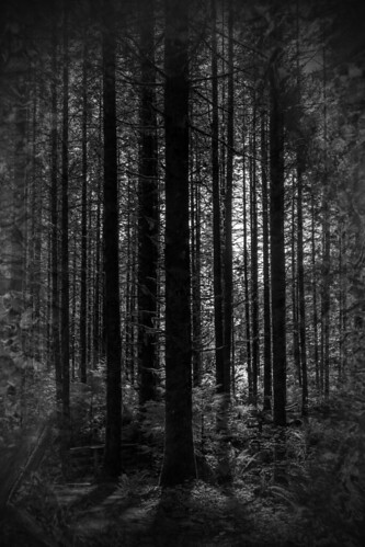 Dark by Diablo_119, 