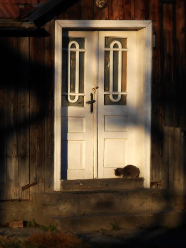 door light sunset cats cat tramonto romania porta di sole amos gatto luce raggio bucovina pisica suceava locati paltinoasa outstandingforeignphotographersvisitingromania
