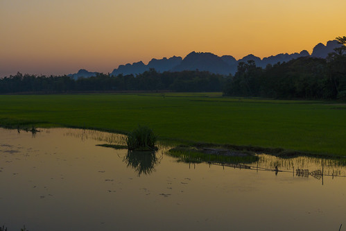 Sunset on Rice Field in Myanmar by kimtetsu, sunset 夕陽 myanmar ricefield 夕日 夕焼け kayin ミャンマー naunglon