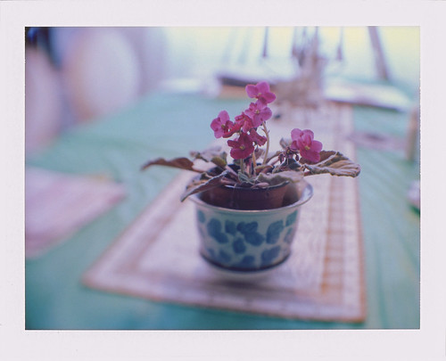 . | by a p e