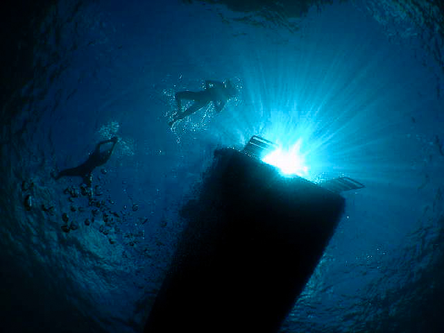 scubafish-underwater-7.jpg