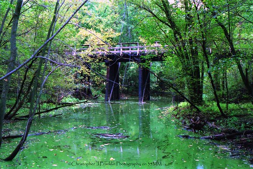 bridge green film water 35mm scan colornegative aftonstatepark minnesotastatepark