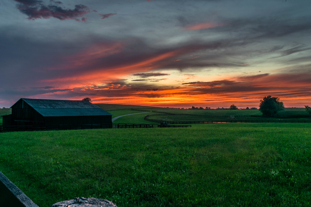 Jessamine County farm at sunset