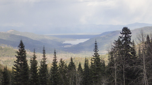 PURP2924 by David J. Thomas, Ph.D., Mount Spokane, WA.trees mountains weather clouds washington spokane hills forests mtspokane mountspo